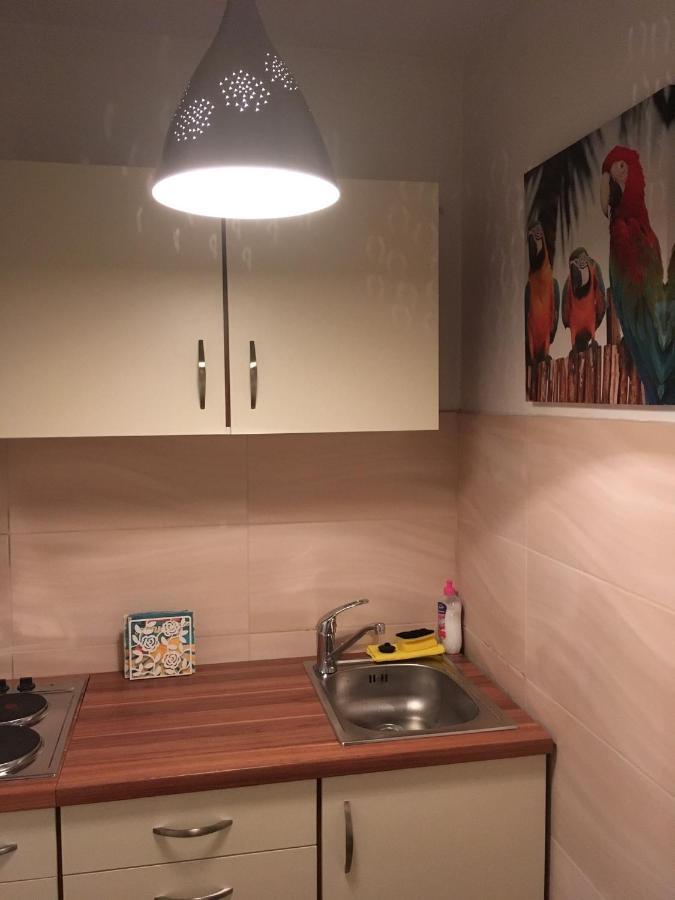 Ferienwohnung Stadtmitte Wuerzburg Dış mekan fotoğraf